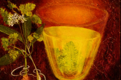 The Alchemy of herbs