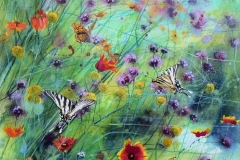 Swallowtails & Fritillaries