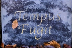 Tempus Fugit