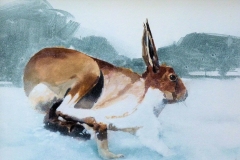 Running Hare